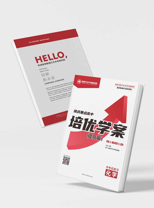 培优学案（提高篇）